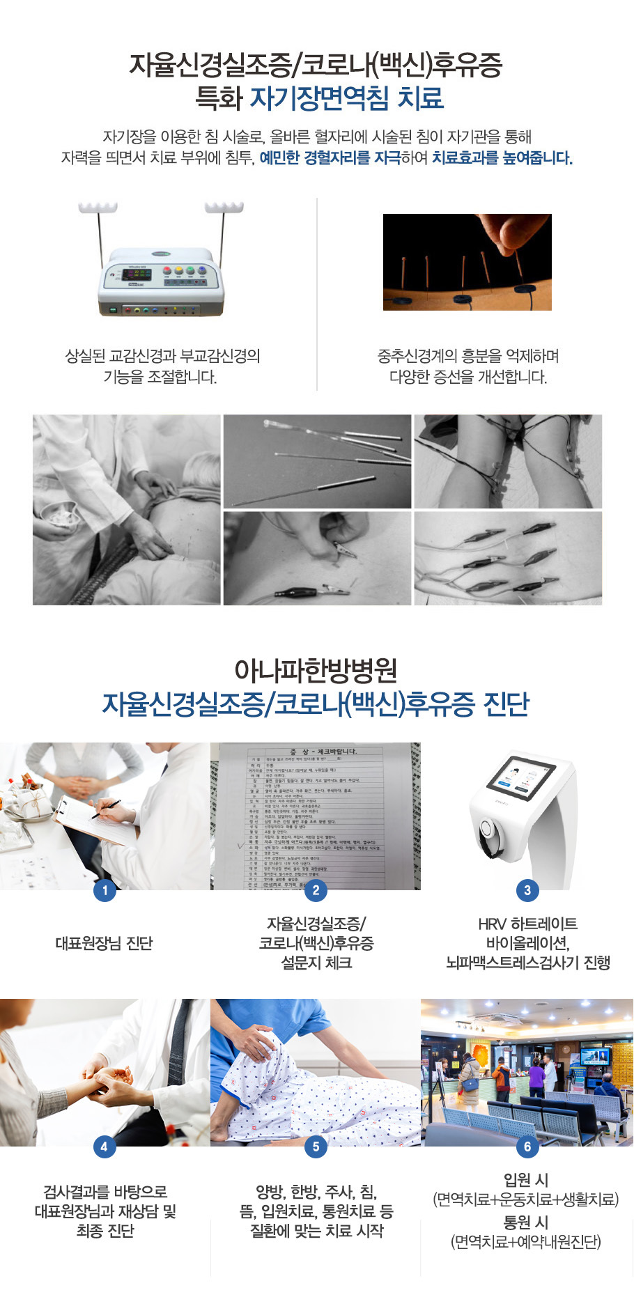 자율신경